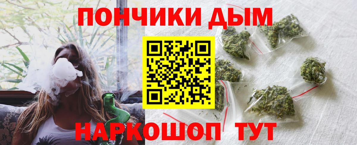 Конопля сатива Отрадный